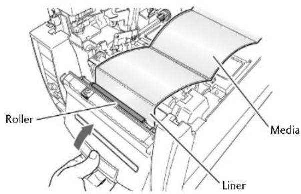Roller Media Liner