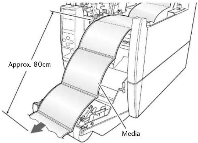 Approx. 80cm Media
