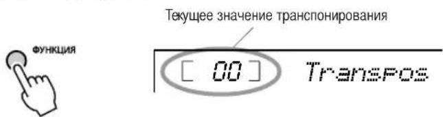 ФУНКЦИЯ Текущее значение транспонирования [ 00 ] TransPos