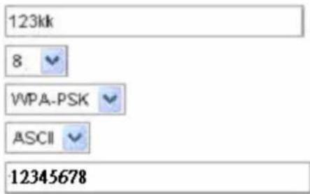 123kk 8 WPA-PSK ASCII 12345678