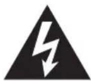 ECG BT 100 - Bitte aufmerksam lesen und gut aufbewahren! - 1