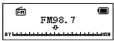 FM FM98.7 87 108