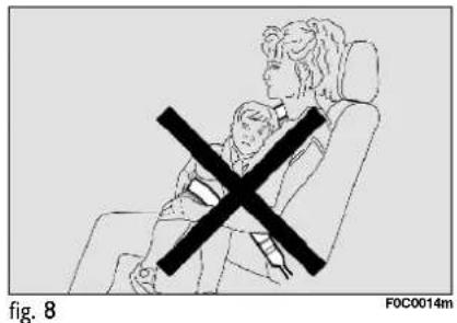 fig. 8 FOC0014m