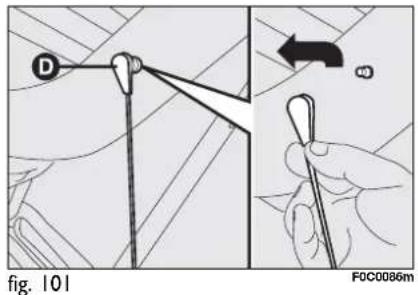 D fig. 101 F0C0086m