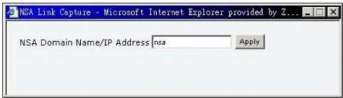 NSA Link Capture - Microsoft Internet Explorer provided by Z... NSA Domain Name/IP Address nsa Apply