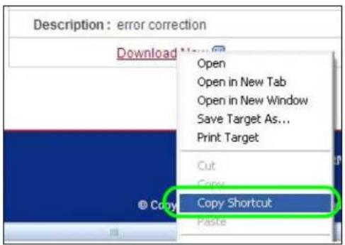 Description: error correction Download Open Open in New Tab Open in New Window Save Target As... Print Target Cut Copy Copy Shortcut Paste