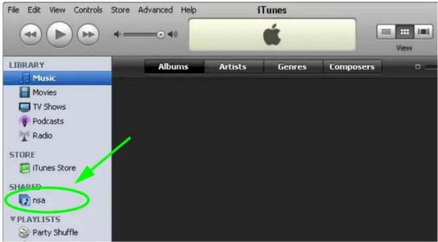 File Edit View Controls Store Advanced Help iTunes View LIBRARY Music Movies TV Shows Podcasts Radio STORE iTunes Store SHARED nsa PLAYLISTS Party Shuffle Albums Artists Genres Composers