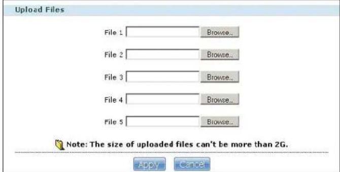ZYXEL NSA210-1T - File Browser - 3