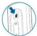 PLANTRONICS DA 45 - Muting a Call - 1