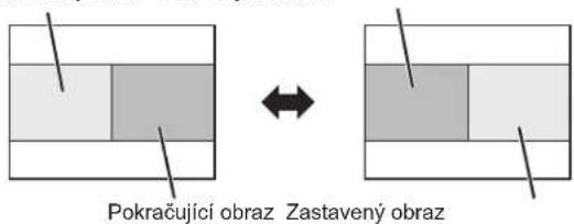 Pokračující obraz Zastavený obraz