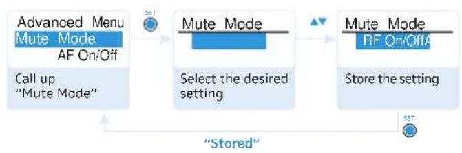 SENNHEISER SK 100 G3-G - The extended menu "Advanced Menu" - 12