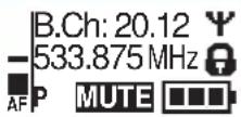 SENNHEISER SK 100 G3-G - Selecting a standard display - 3