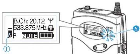 B.Ch: 20.12 533.875 MHz AF P MUTE ① ⑤