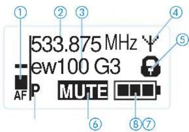 533.875 MHz ew100 G3 AF P MUTE