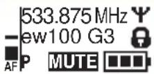 SENNHEISER SK 100 G3-G - Selecting a standard display - 2