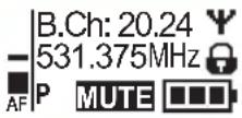 SENNHEISER SK 300 G3-G - Selecting a standard display - 3