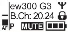 SENNHEISER SK 300 G3-G - Selecting a standard display - 4
