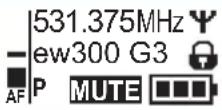 SENNHEISER SK 300 G3-G - Selecting a standard display - 2