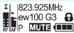 SENNHEISER EK 100 G3-G - Contents of the display Selectable standard display - 1