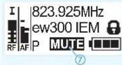 SENNHEISER EK 300 IEM G3 - Contents of the display Selectable standard display - 1