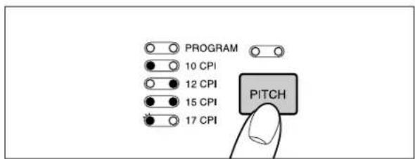 PROGRAM 10 CPI 12 CPI 15 CPI 17 CPI PITCH