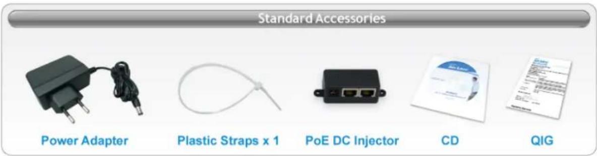 Standard Accessories Power Adapter Plastic Straps x 1 PoE DC Injector CD QIG