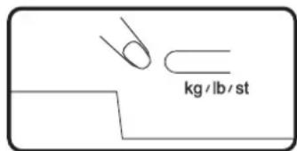 b kg /lb / st