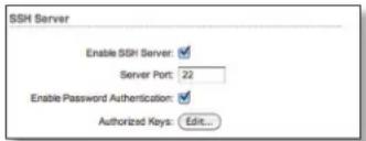 SSH Server Enable SSH Server: ✓ Server Port: 22 Enable Password Authentication: ✓ Authorized Keys: Edit...