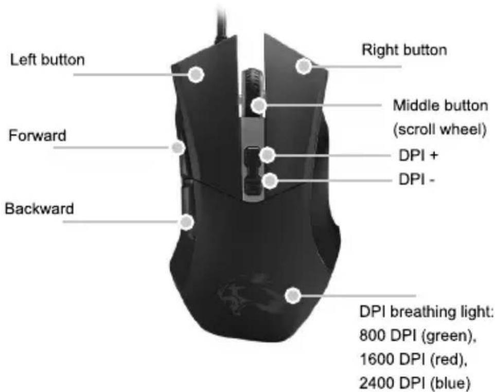 Left button Forward Backward Right button Middle button (scroll wheel) DPI + DPI - DPI breathing light: 800 DPI (green), 1600 DPI (red), 2400 DPI (blue)