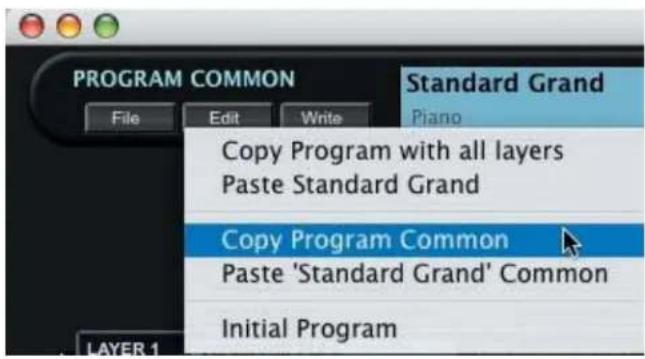 PROGRAM COMMON File Edit Write Standard Grand Piano Copy Program with all layers Paste Standard Grand Copy Program Common Paste 'Standard Grand' Common Initial Program