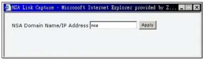 NSA Link Capture - Microsoft Internet Explorer provided by Z... NSA Domain Name/IP Address nsa Apply