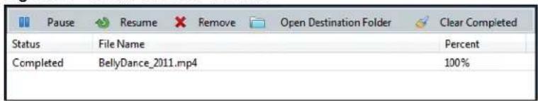 Pause Resume Remove Open Destination Folder Clear Completed Status File Name Percent Completed BellyDance_2011.mp4 100%