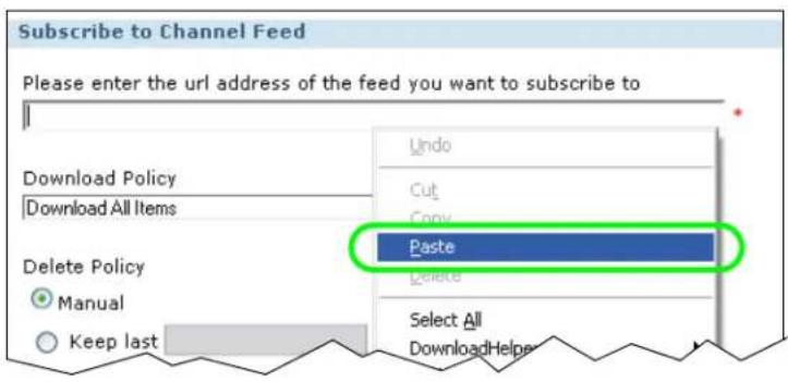 Subscribe to Channel Feed Please enter the url address of the feed you want to subscribe to Undo Cut Copy Paste Delete Select All DownloadHelper Download Policy Download All Items Delete Policy Manual Keep last