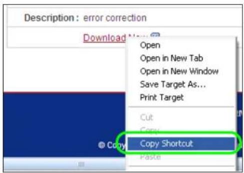Description: error correction Download Open Open in New Tab Open in New Window Save Target As... Print Target Cut Copy Copy Shortcut Paste