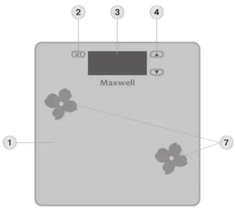 Maxwell MW-2665 VT - 1