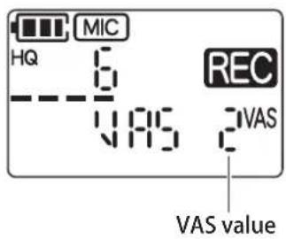 HQ MIC REC VAS VAS value