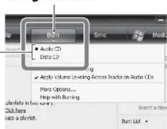 Burn Audio CD Data CD Apply Volume Leveling Across Tracks on Audio CDs More Options... Help with Burning. Insert a file Burn List