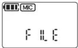 MIC FILE