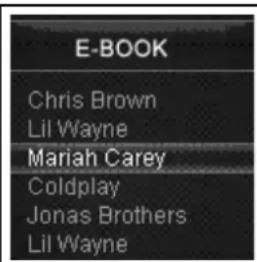E-BOOK Chris Brown Lil Wayne Mariah Carey Coldplay Jonas Brothers Lil Wayne
