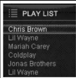 PLAY LIST Chris Brown Lil Wayne Mariah Carey Coldplay Jonas Brothers Lil Wayne