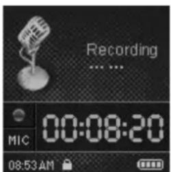 GoGen MXM800FM4GB - NAHRÁVANIE HLASU - 2