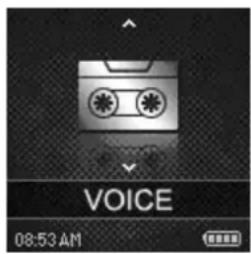 VOICE 08:53 AM