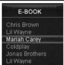 E-BOOK Chris Brown Lil Wayne Mariah Carey Coldplay Jonas Brothers Lil Wayne