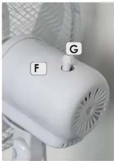 F G