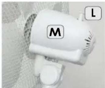 M L