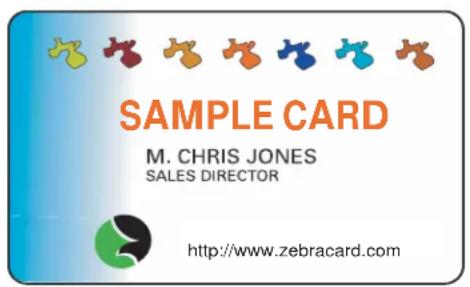 SAMPLE CARD M. CHRIS JONES SALES DIRECTOR http://www.zebracard.com