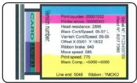 Print counter: 00001332 Printer errors: 00000003 Head resistance: 2806 Black Cont/Speed: 05-07 L Varnish Cont/Speed: 05-05 Offset X:03/01 Y:18/22 Ribbon brake: 040 Move speed: 085 Print speed: 775 Black Comp.: +5000 +5000 Line end: 0048 Ribbon : YMCKO Serial N° P123456769 Head N° 61277380