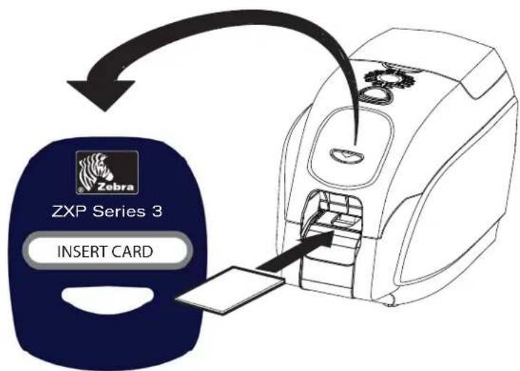 ZSP Series 3 INSERT CARD
