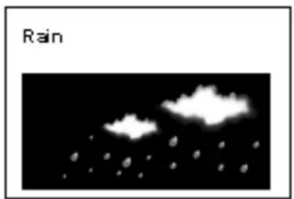 Rain