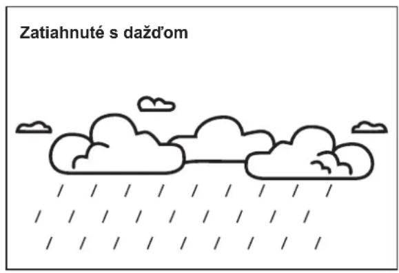 Zatiahnuté s dažd'om